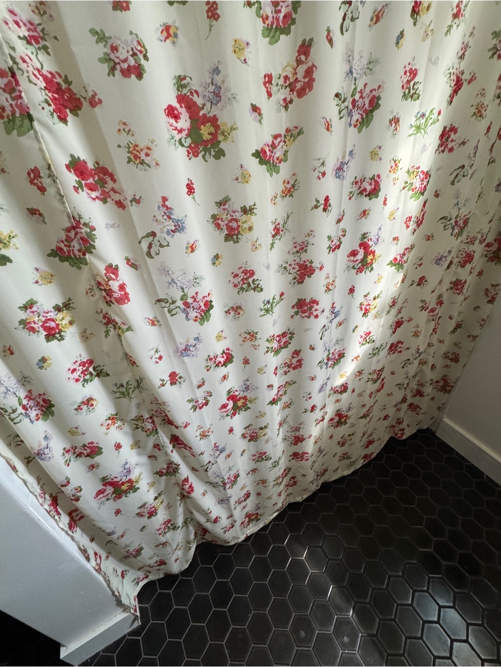 Rachel Ashwell Treasures Shower Curtain
Vintage Shabby Chic Floral - Picture 4 of 4
